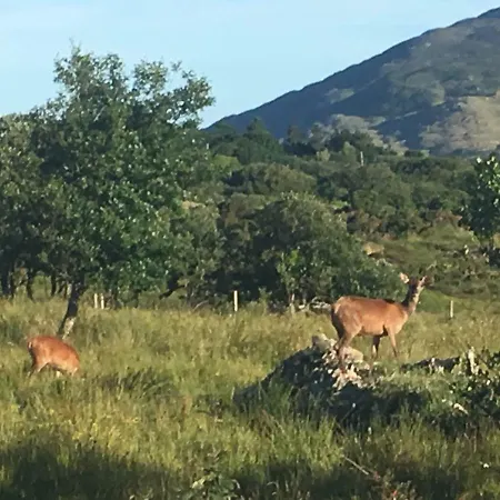 Mountain Farm On Farm In Village Centre *