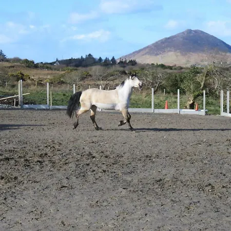 Mountain Farm On Farm In Village Centre Villa *