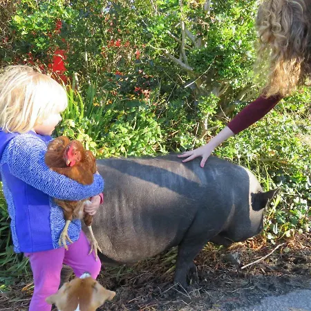 Mountain Farm On Farm In Village Centre Letterfrack