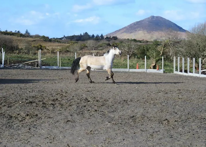 Mountain Farm On Farm In Village Centre Вилла *