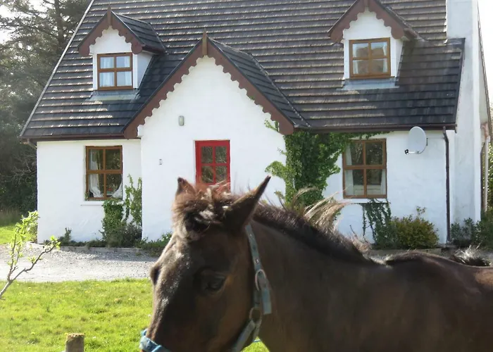 Mountain Farm On Farm In Village Centre