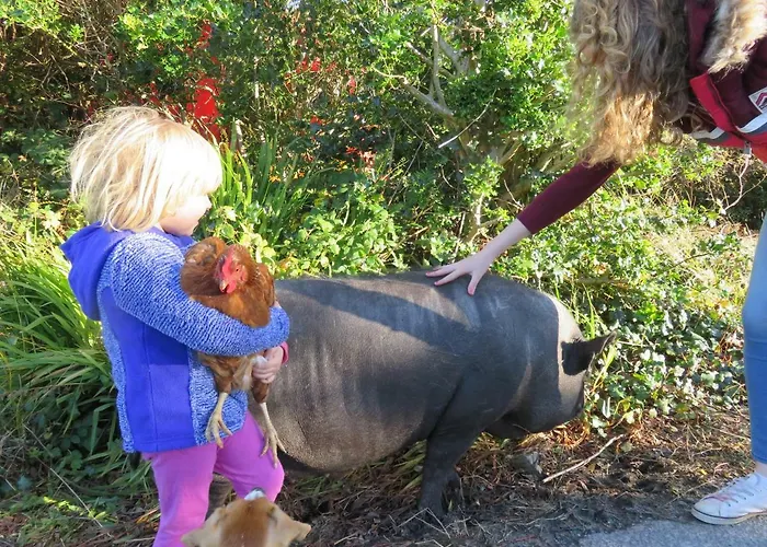 Mountain Farm On Farm In Village Centre Леттерфрак