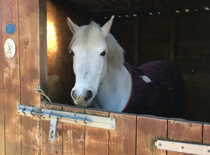 Вилла Mountain Farm On Farm In Village Centre